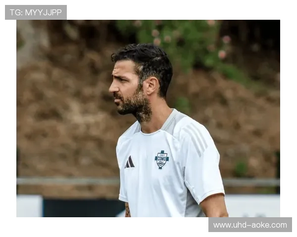 年轻教练崛起趋势明显,法布雷加斯与齐沃执教表现引关注 年轻教练崛起趋势明显,法布雷加斯与齐沃执教表现引关注