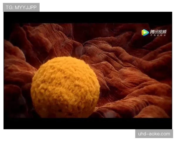 纪录片《 Bayern - Inside 》第三季上线,揭秘更衣室瞬间